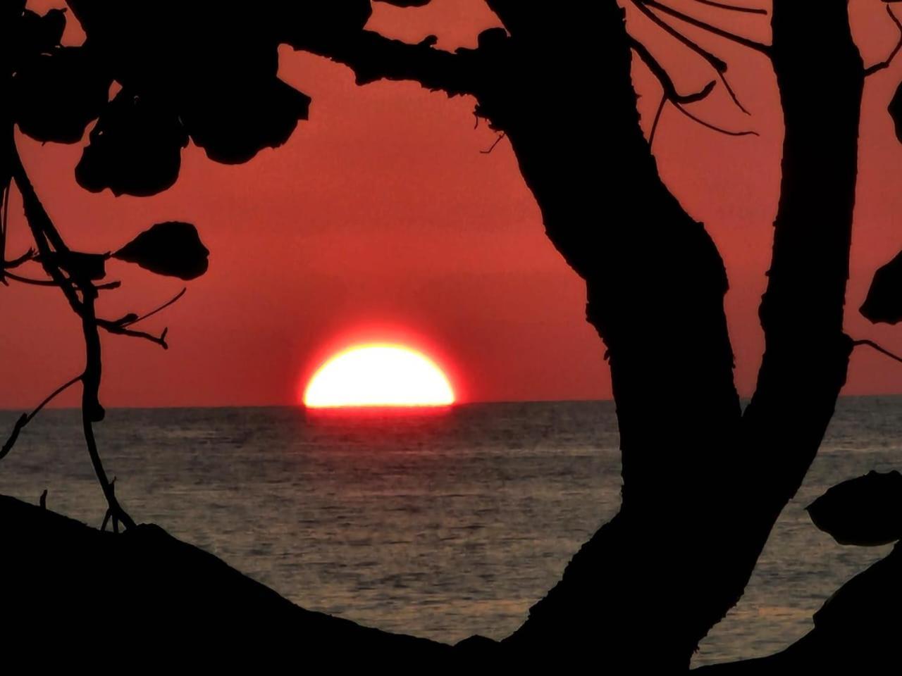 فندق Bella Vista Corcovado Drakes Bay المظهر الخارجي الصورة