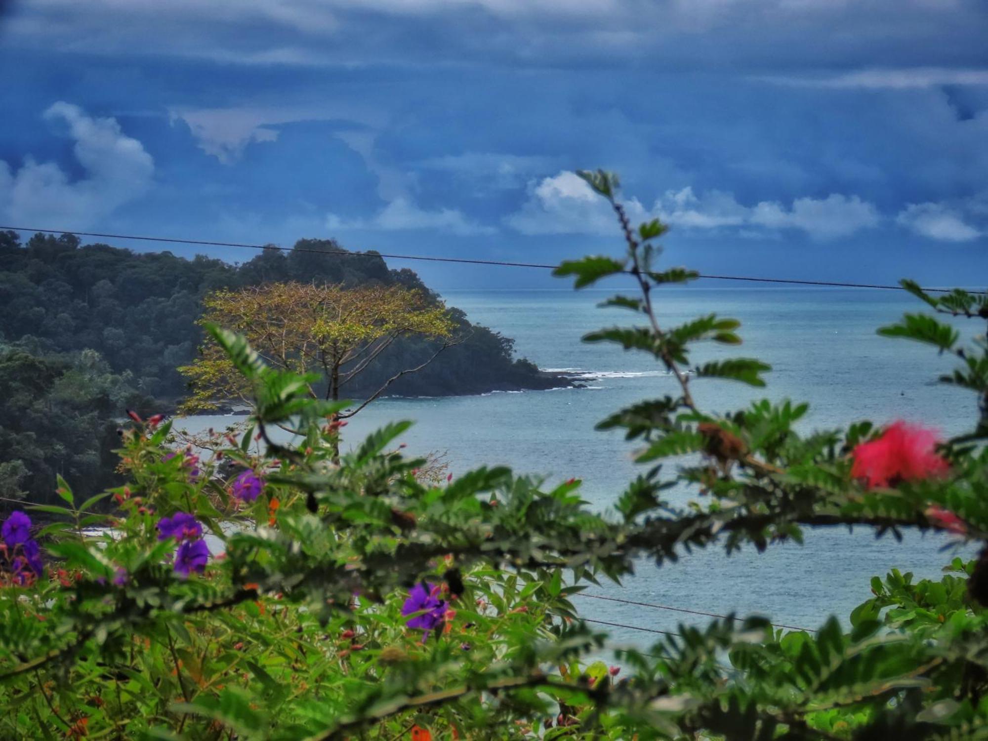 فندق Bella Vista Corcovado Drakes Bay المظهر الخارجي الصورة