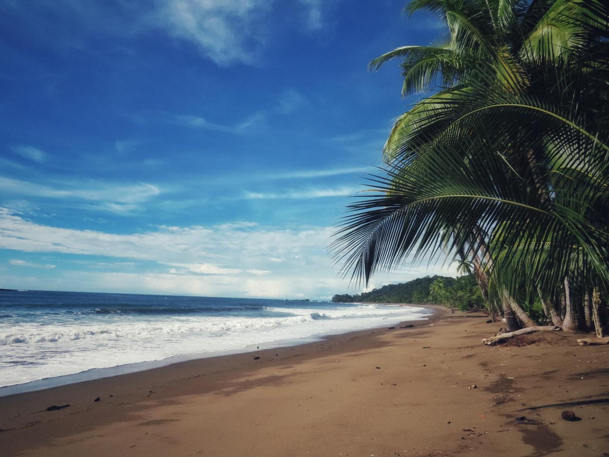 فندق Bella Vista Corcovado Drakes Bay المظهر الخارجي الصورة