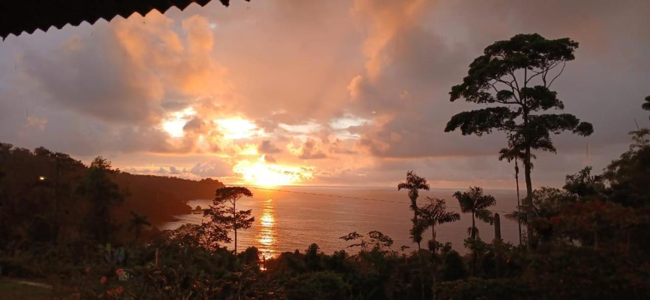 فندق Bella Vista Corcovado Drakes Bay المظهر الخارجي الصورة