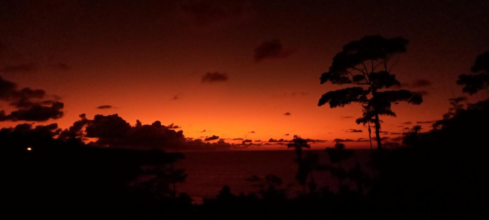فندق Bella Vista Corcovado Drakes Bay المظهر الخارجي الصورة