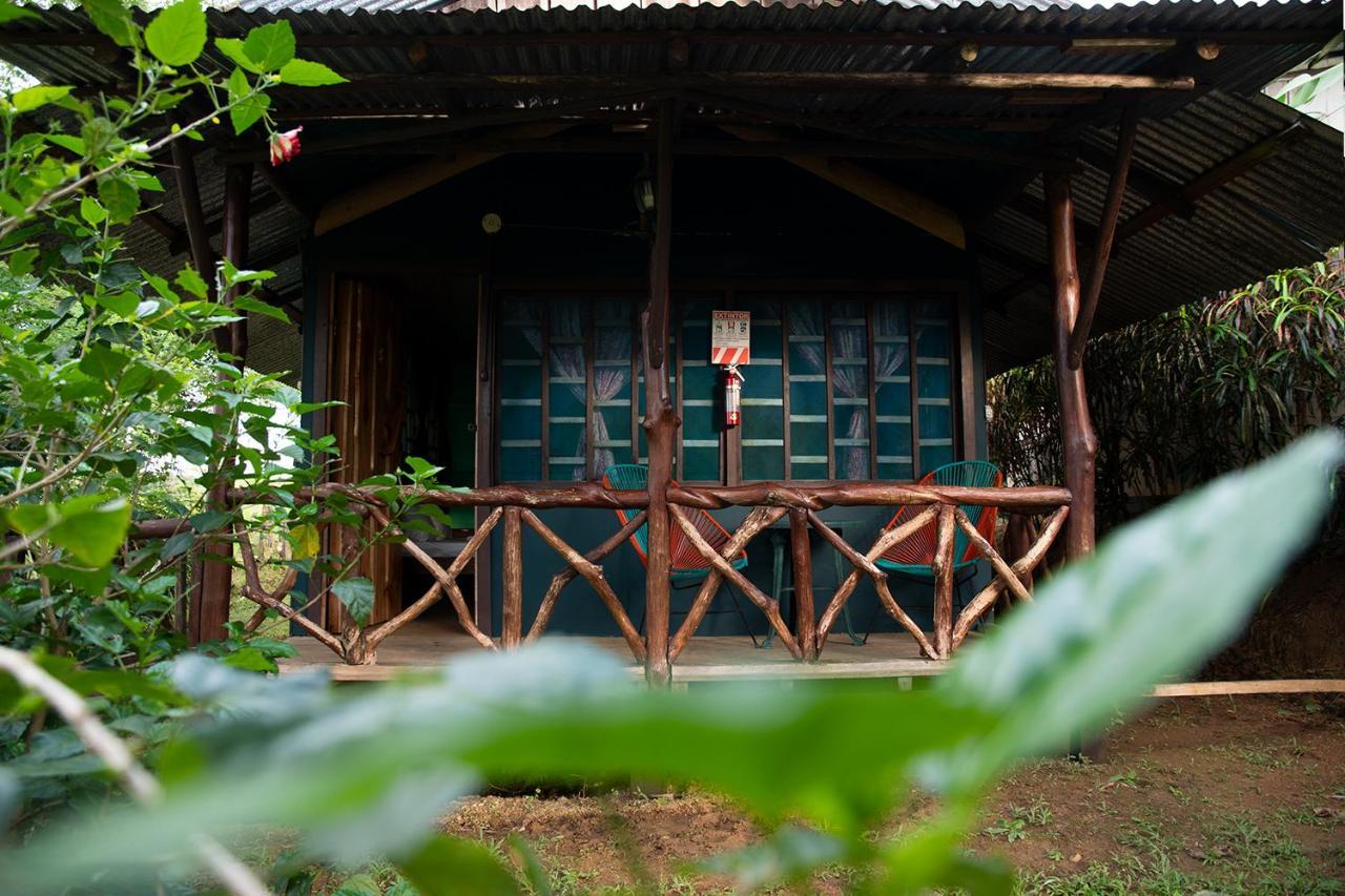 فندق Bella Vista Corcovado Drakes Bay المظهر الخارجي الصورة